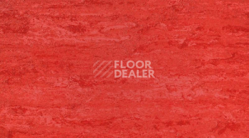 Линолеум Gerflor Linodur Sport 1013 Lava Red фото 1 | FLOORDEALER